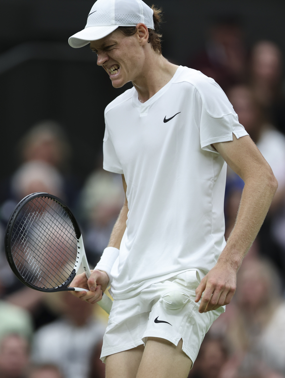 温网轻取年终总决赛，梅德韦杰夫状态火热