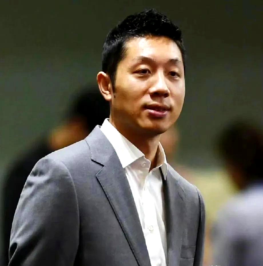 开云体育APP下载-德国队鏖战日本队，许昕惊艳四座的简单介绍